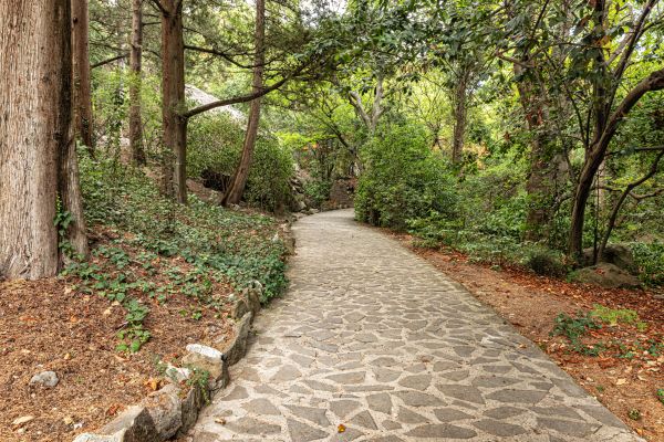 Stone Walkway Repair in Tacoma