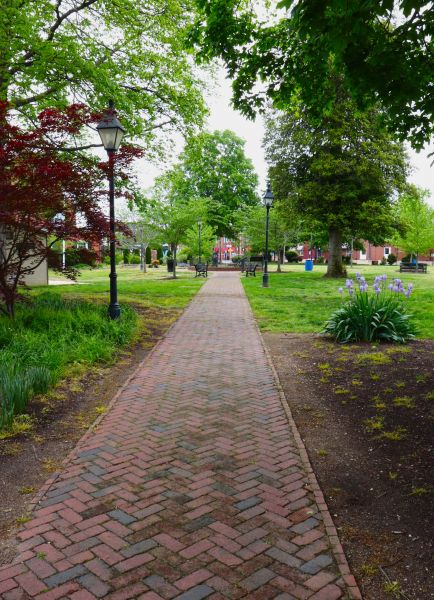Brick Pathway Repair in Tacoma