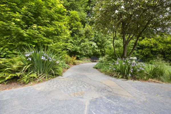 Stone Hardscape Service in Tacoma