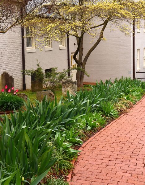 Brick Flatwork Repair in Tacoma